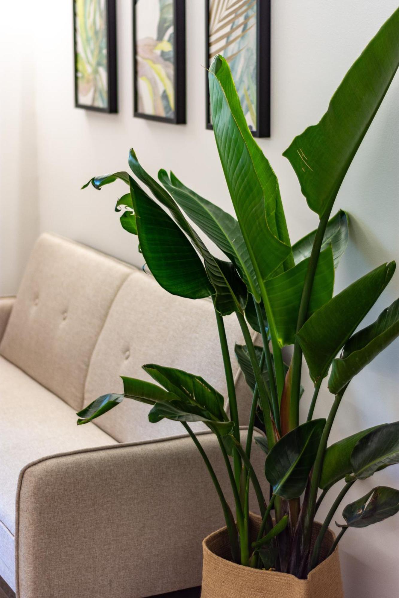 Maison Dafne Appartement